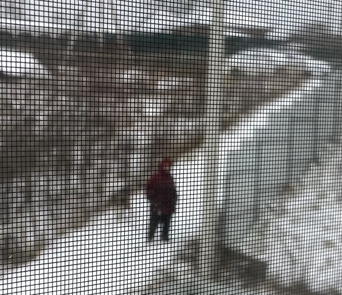 Картина маслом: раннее утро. Любопытная соседка Антонина заглядывает ко мне во двор со склона. Елочкой выше - оригинально установленный соседский профлист