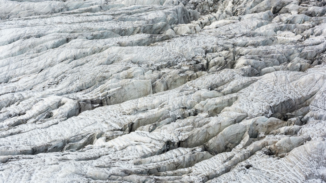    Serguei Fomine/Global Look Press