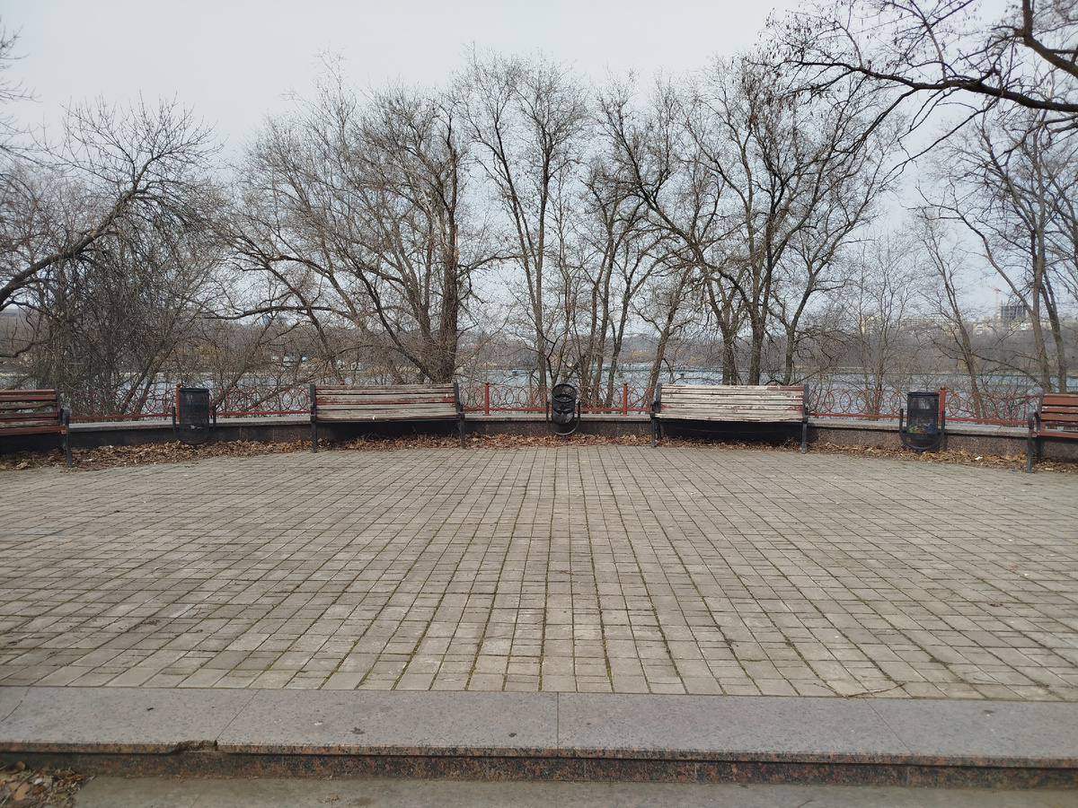 Лавочки в сквере имени В.В. Берви - Флеровского.