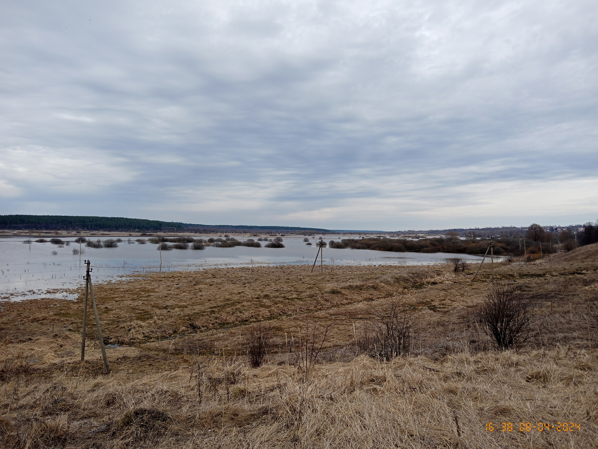 личное фото автора