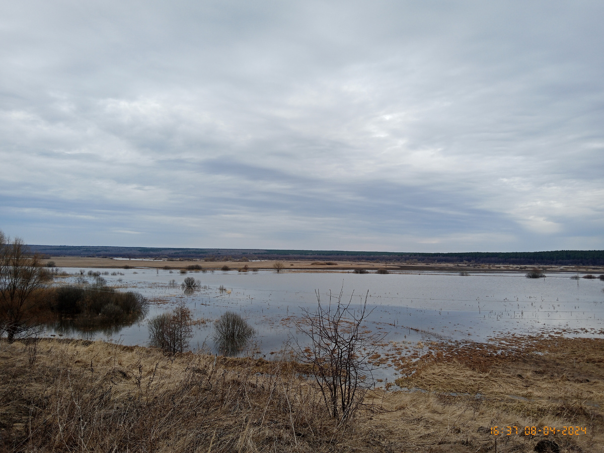 личное фото автора