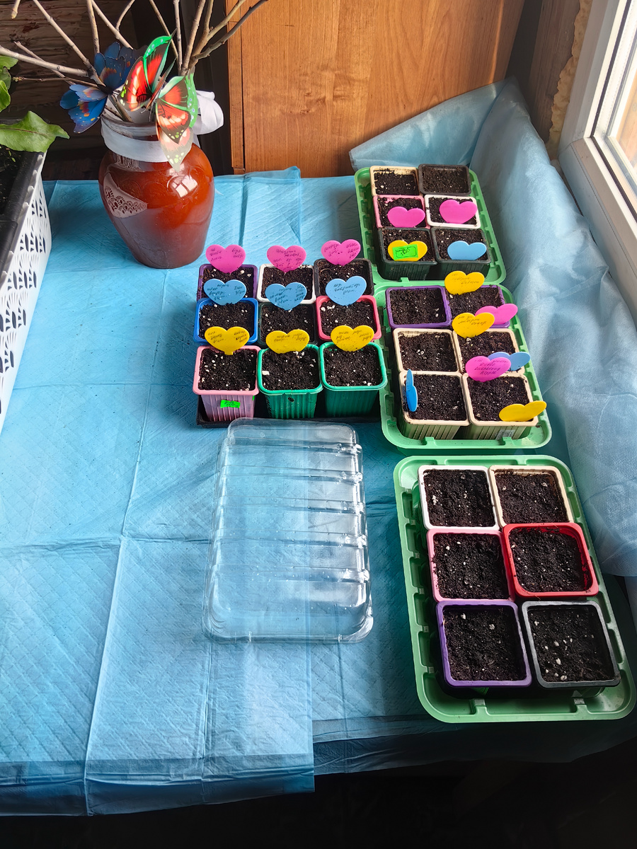 Процесс пошёл.