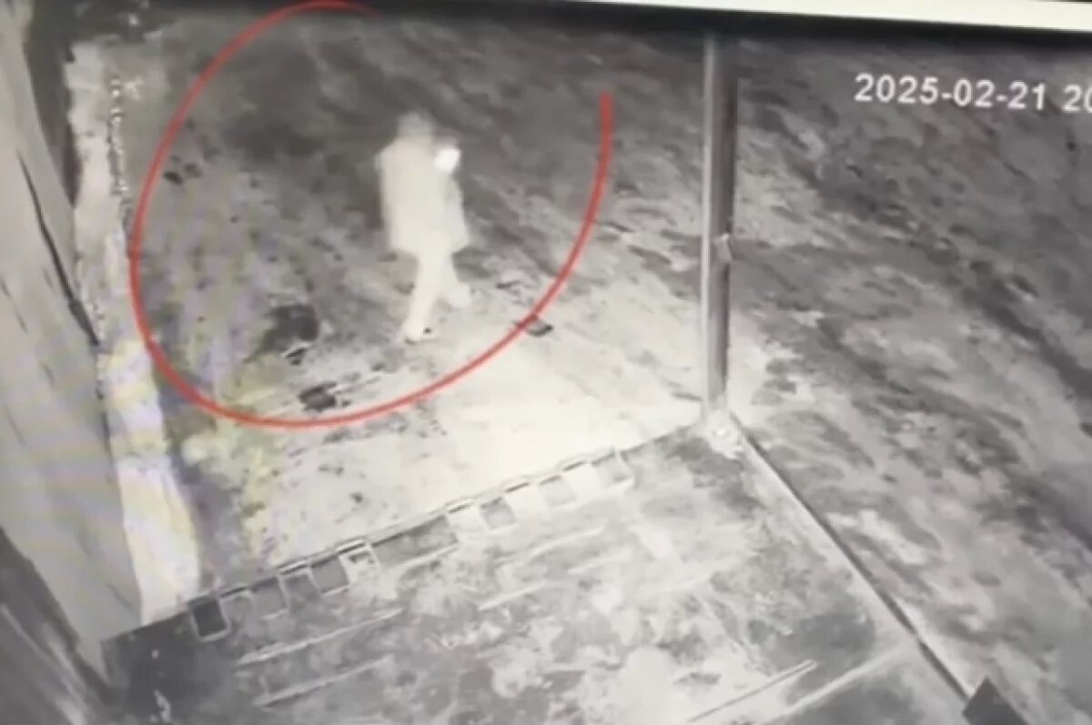    Сотрудник украл 1 млн рублей из офиса компании в Новосибирске