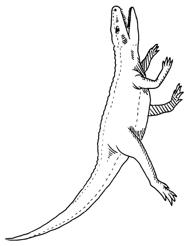 Эупаркерия в вертикальном положении.