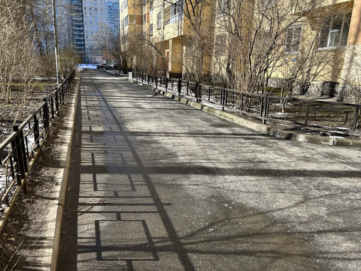    Улица Хошимина, 15 марта. Фото: Мойка78