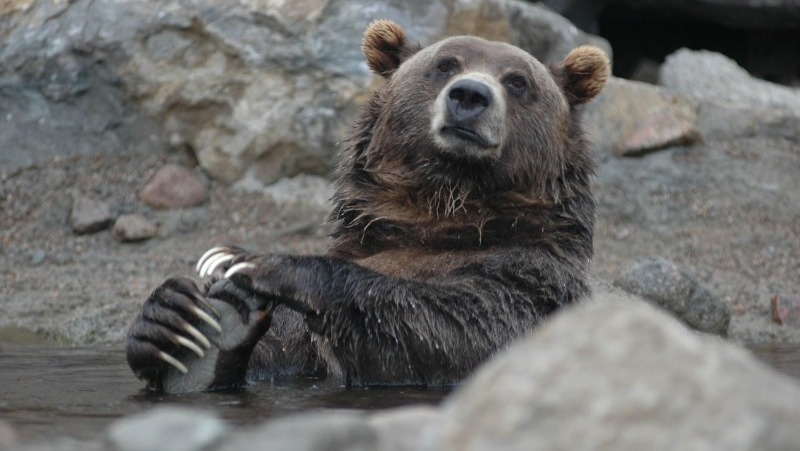 Фото: @EyeEm / freepik.com