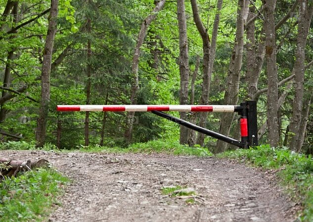 Фото: freepik.com