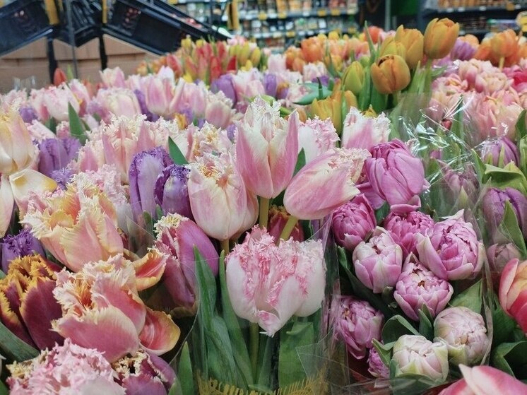     При поедании бутонов в организм попадают химические вещества и гербициды. Фото: Архив МК в Великом Новгороде