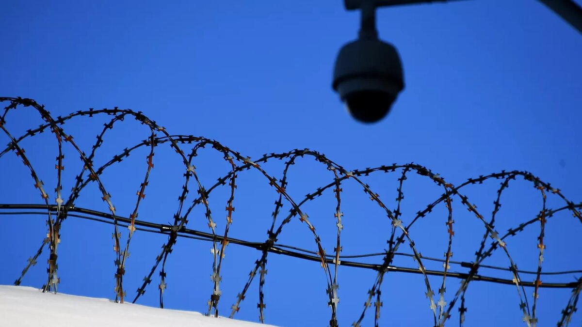 © Sputnik / Максим Блинов / Перейти в фотобанк