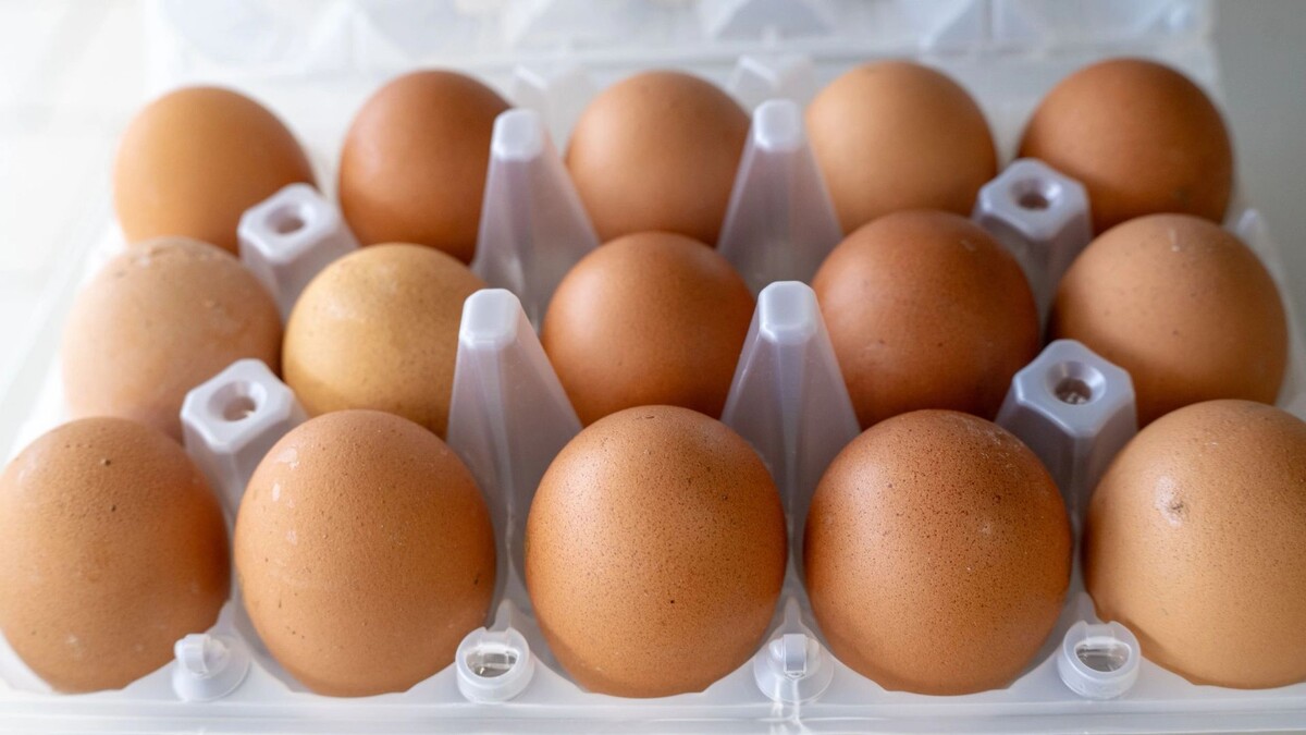    Фото: Зубков Сергей/«Ямал-Медиа»