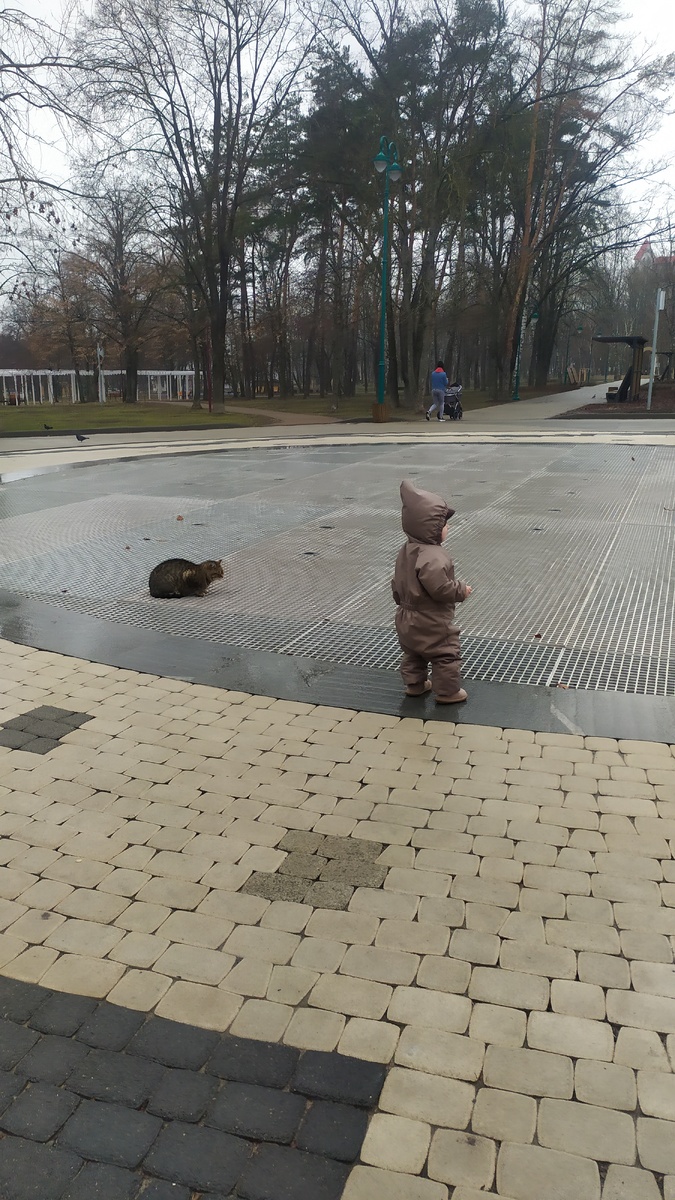 Дождливая неделя