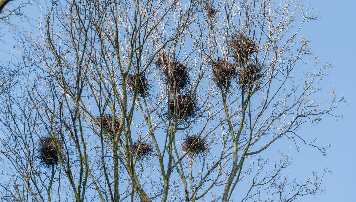 фото: Markus Scholz/dpa/Global Look Press