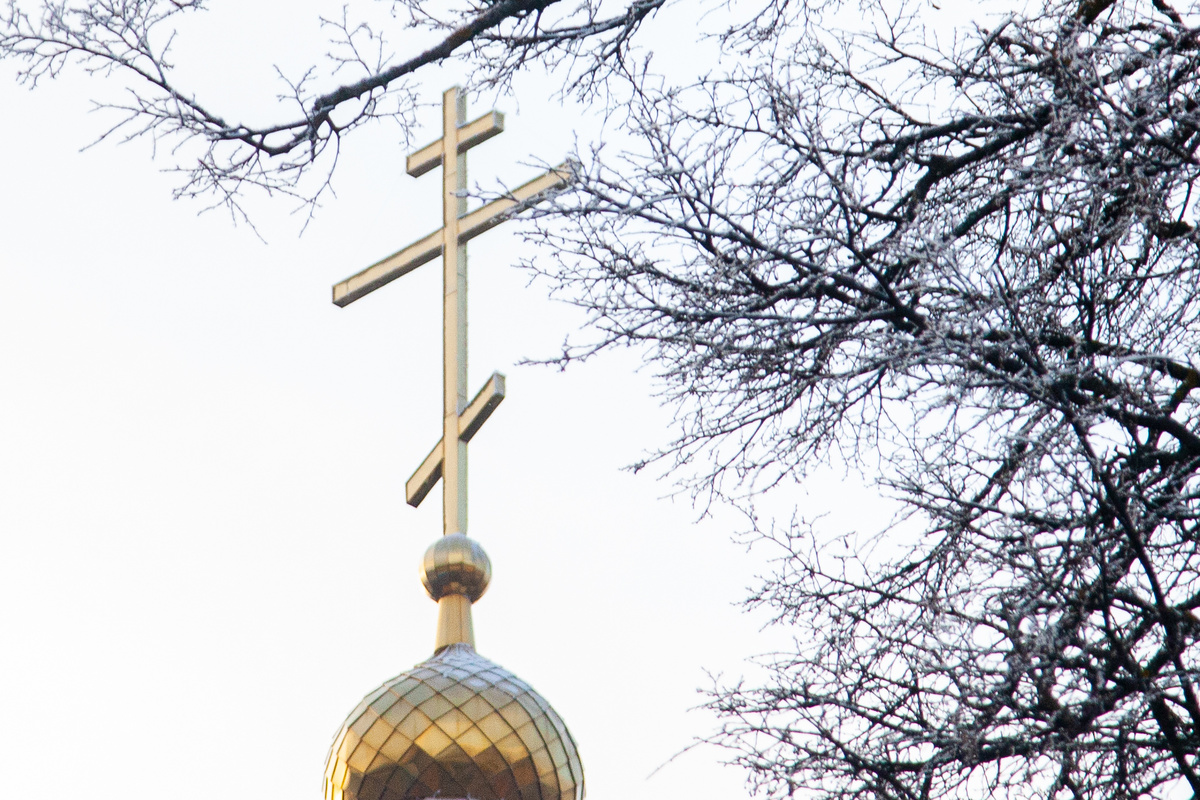 фото: Oksana Korol/Business Online/Global Look Press