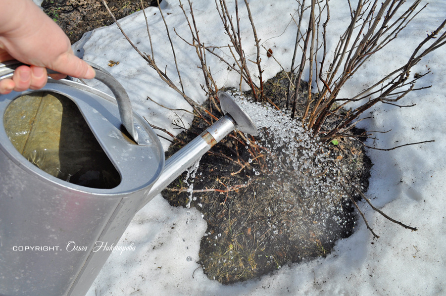 Воду лью от себя и стою на расстоянии. 