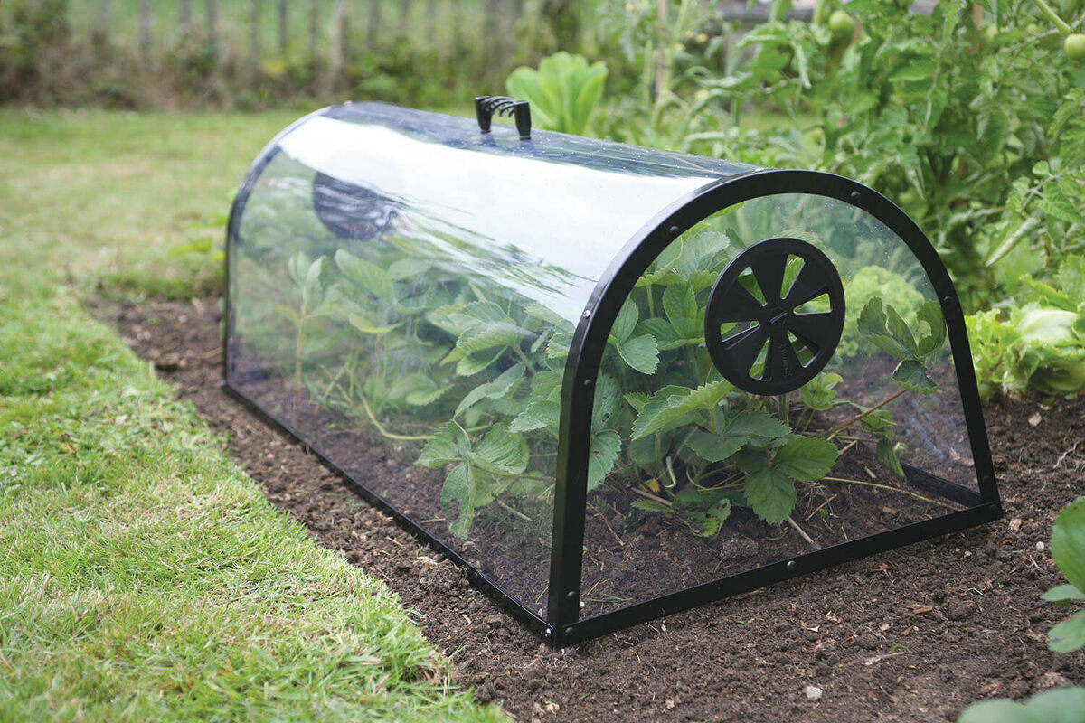 Мини-теплица