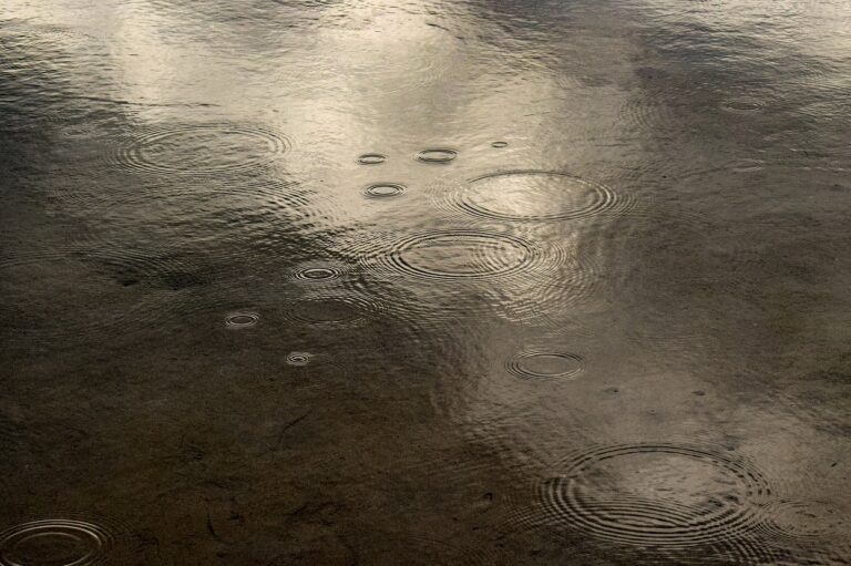    Фото: pixabay.com/pixabay.com/ Дмитрий Андреев