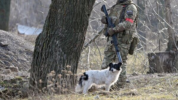    © Sputnik / Станислав Красильников