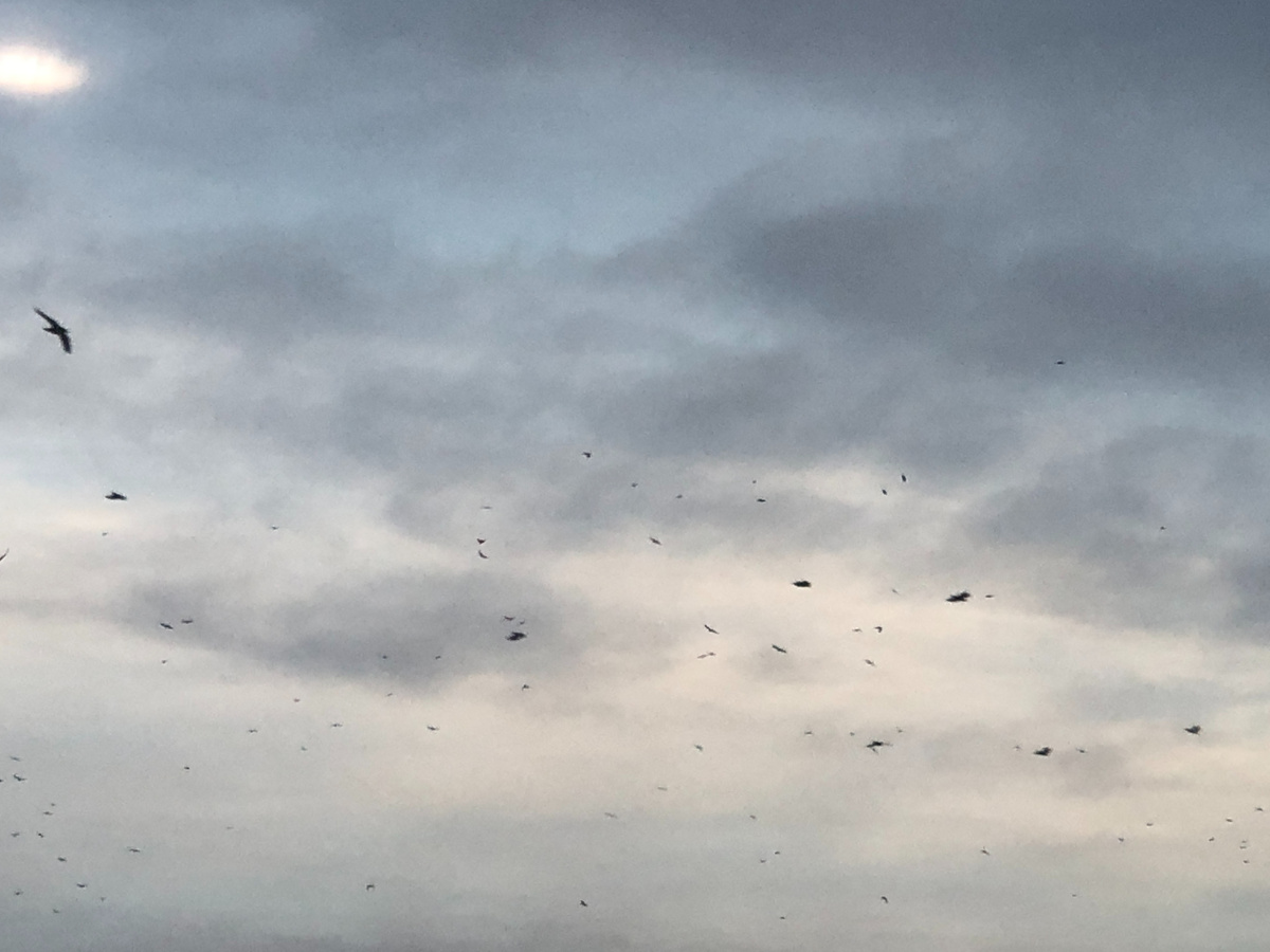 Фото уровня