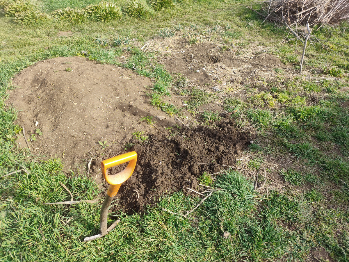 Начала копать, да призадумалась