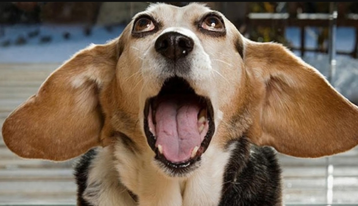 Это я в шоке смотрю передачу. Картинка с сайта i.ytimg.com