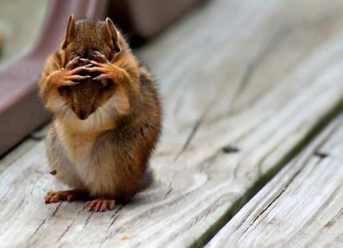 На это лучше не смотреть. Фото из общего доступа в пинтерест.