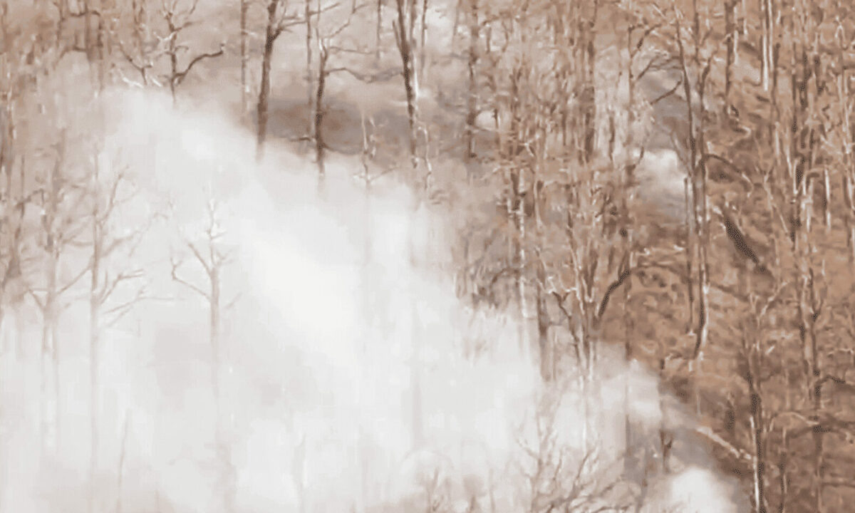    Фото t.me/chp_sochi