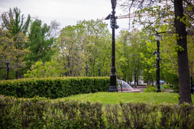    Фото: Общественная служба новостей Софья Метелёва