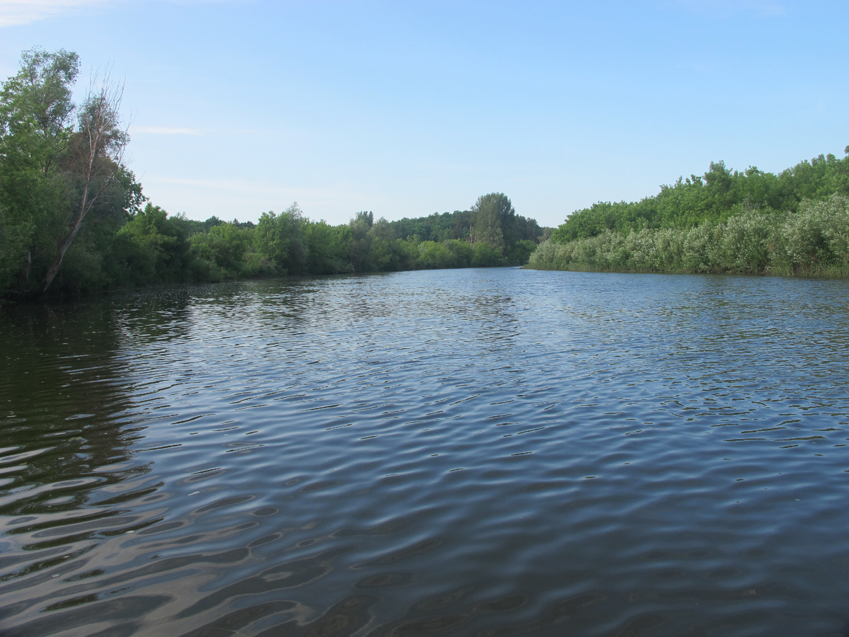 Заросшие берега, а вся рыба под кустами