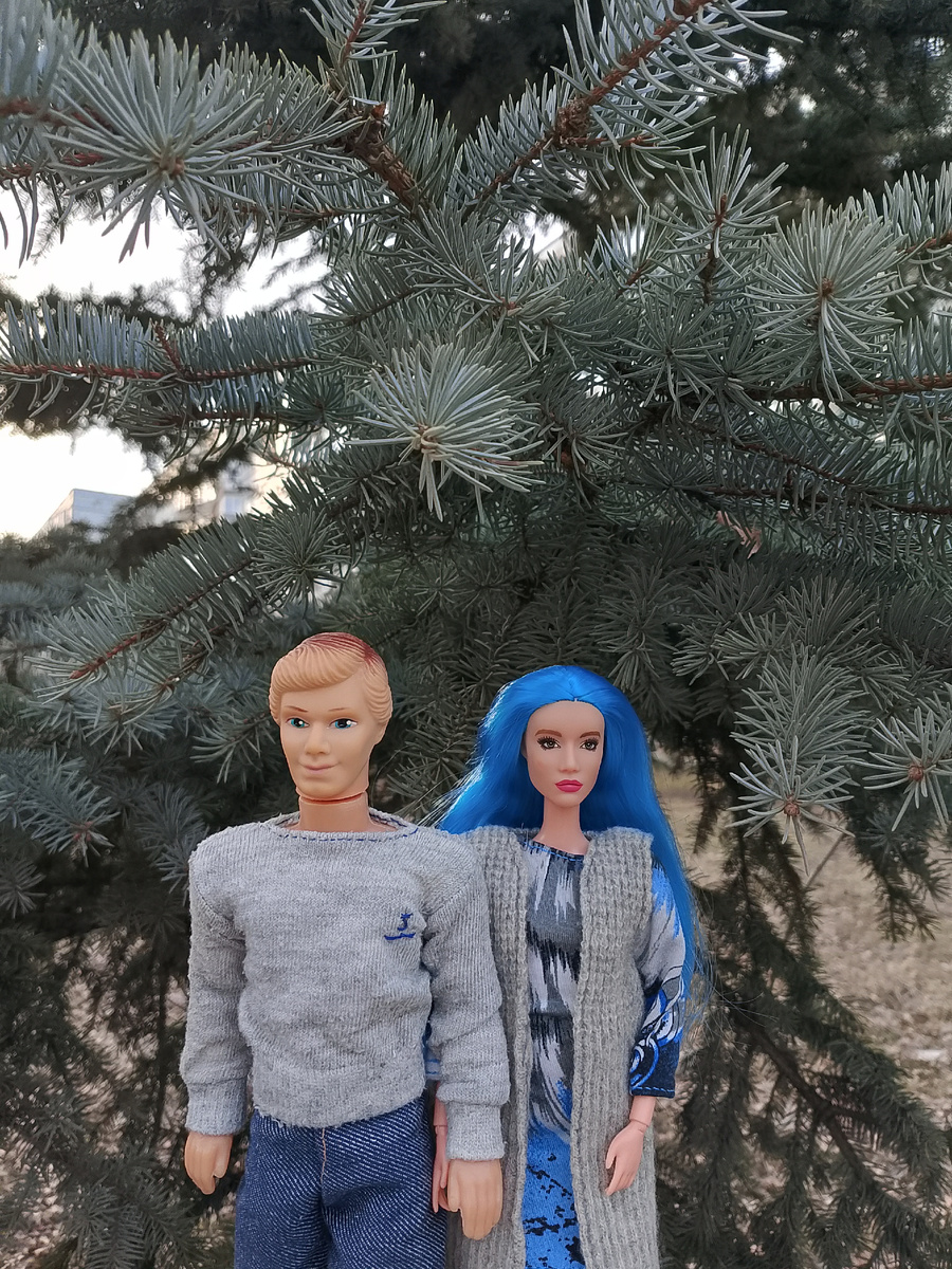 Традиционно – фото возле хвойных деревьев