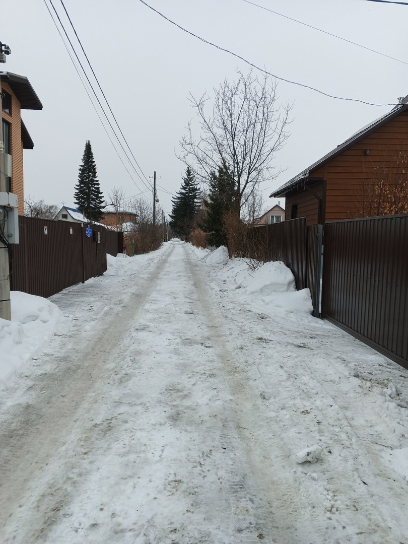 Аллея образца 15.03.2025