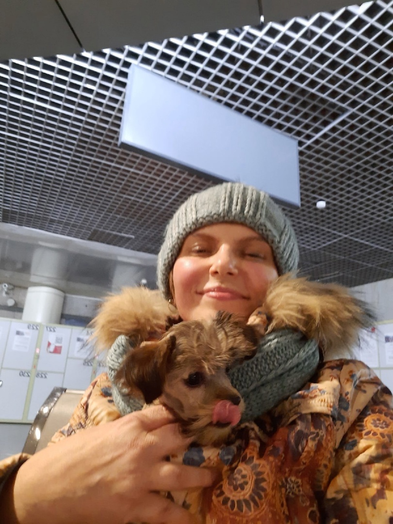 Первая встреча с Ириской