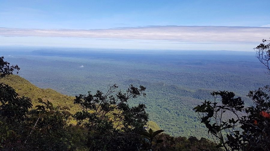 Национальный парк Гунунг-Мулу в Малайзии (Gunung Mulu National Park)
