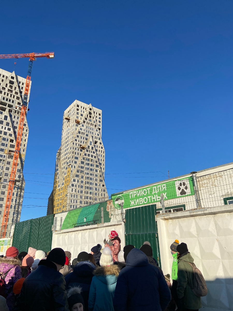 Городской приют для собак в Екатеринбурге