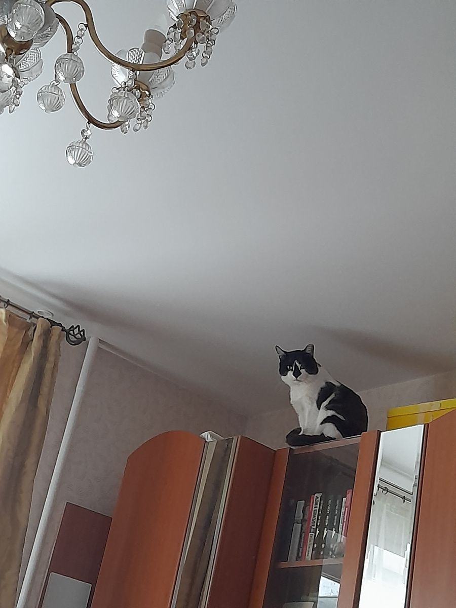 Фото автора. Верхолаз