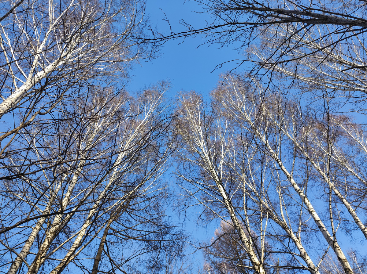 Субботние утро