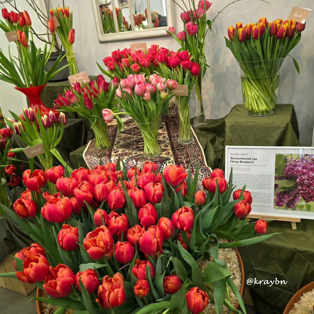 Тюпаны на фестивале «Оттепель чувств»