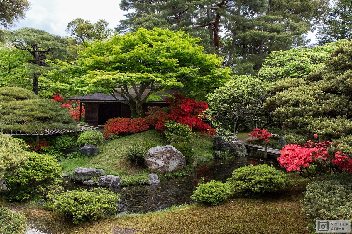 Японский стиль сада