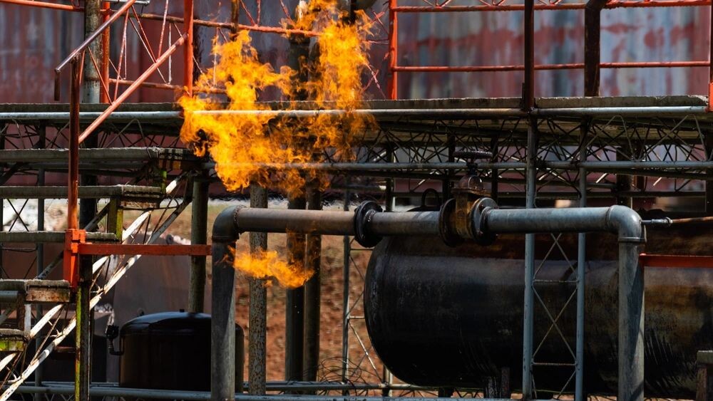    Фото: CandyRetriever/Shutterstock/Fotodom