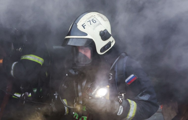    Алексей Белкин/NEWS.ru