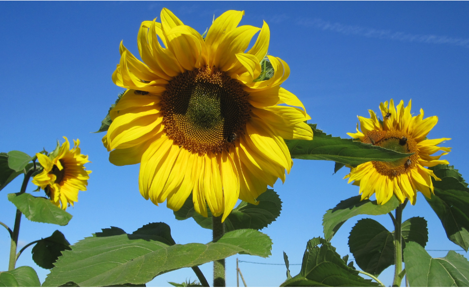 Фото из личного архива автора.