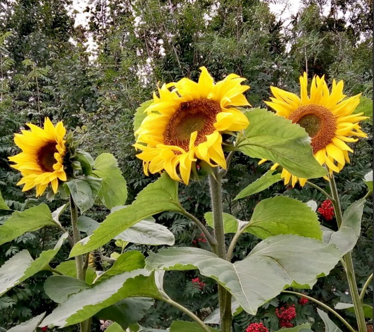 Фото из личного архива автора.