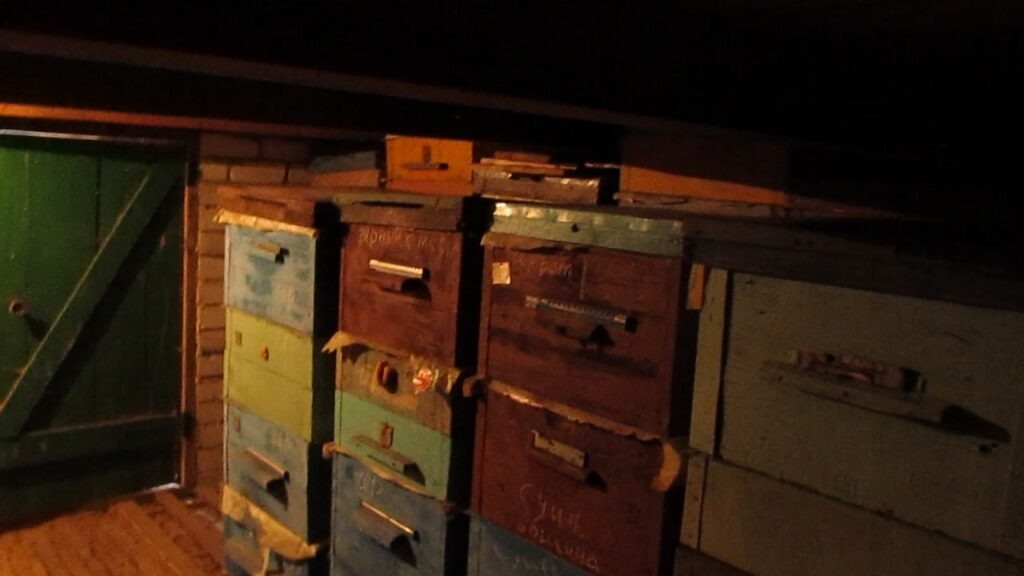 Хранение медоперговых рамок в корпусах улья Дадана.