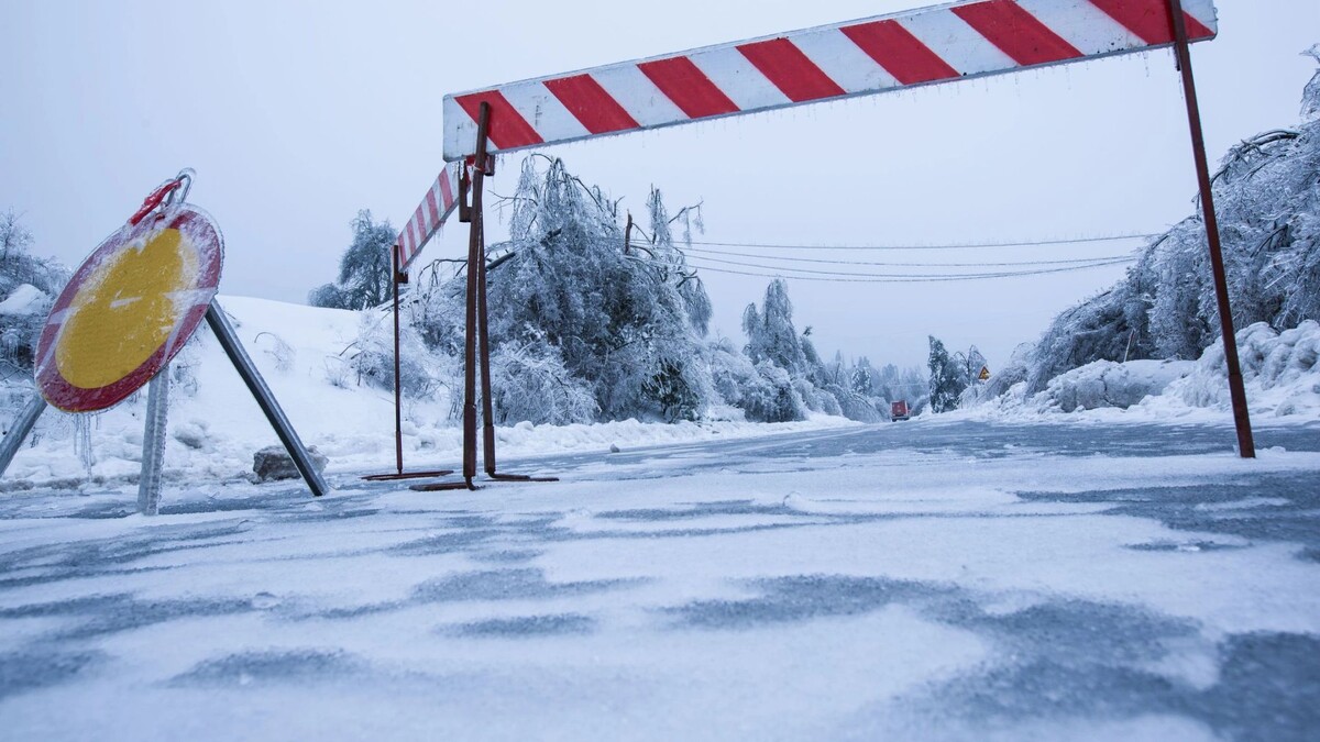    Фото: zlikovec/Shutterstock/Fotodom