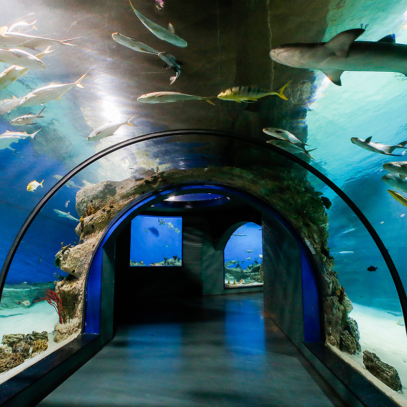 Москвариум 