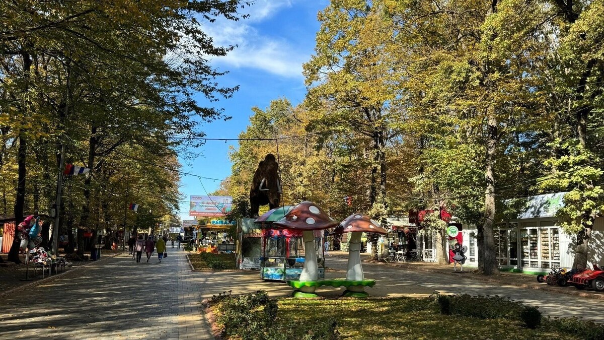     Источник: vk.com/stavparks26