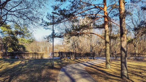 Свежий воздух, солнце и прогулка ... не так уж и мало для хорошего самочувствия ...   

Весна в парке 50-летия Октября ...   

  