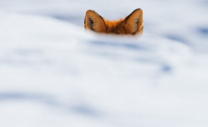 Как мошенники разводят наших детей. История нашей студентки