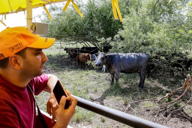   Фото из архива Калининград.Ru