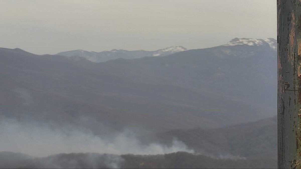    Фото: t.me/krd_klpc