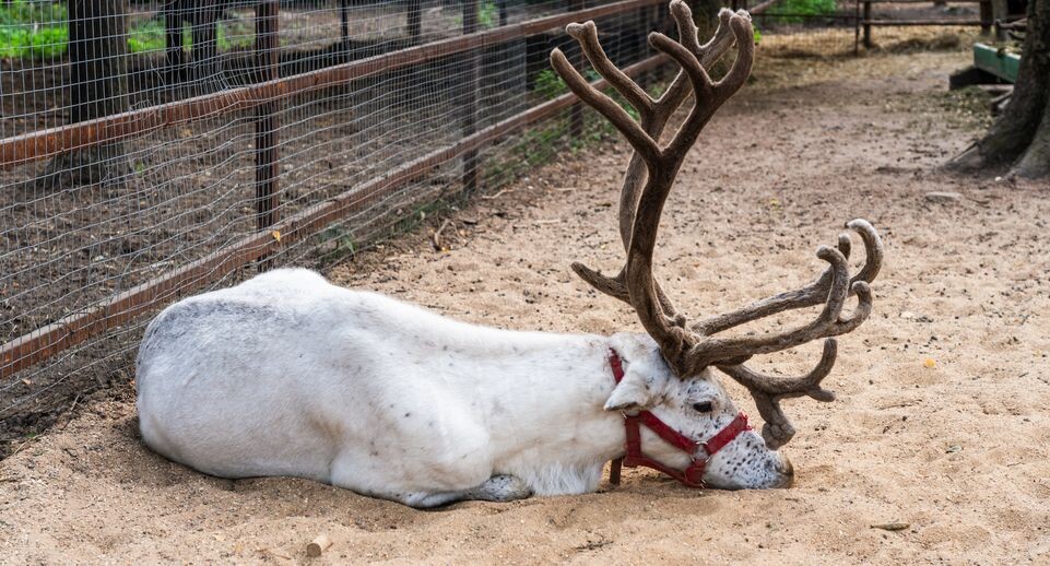    Медиасток.рф